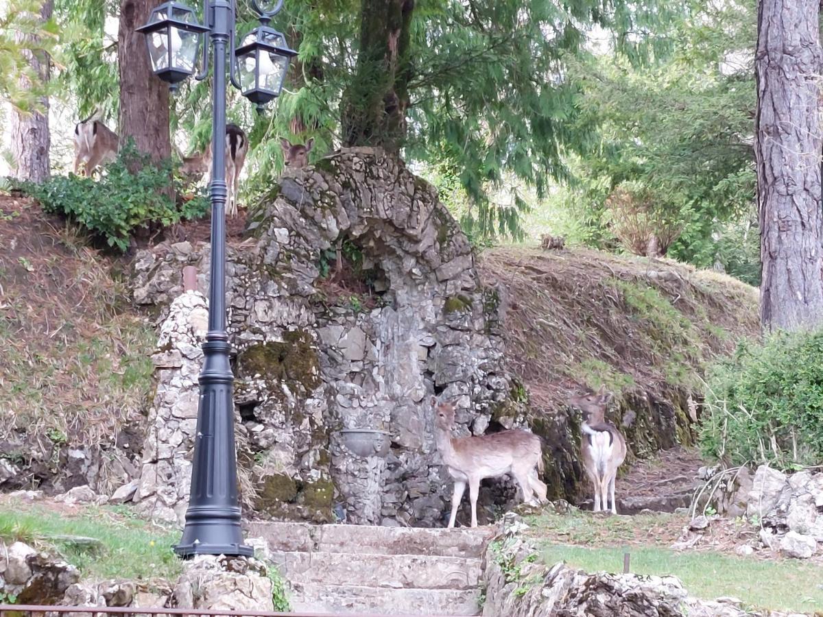 Villa Ghiron Torriglia Exterior foto